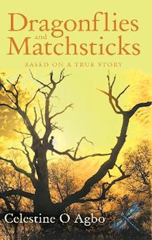 Dragonflies and Matchsticks