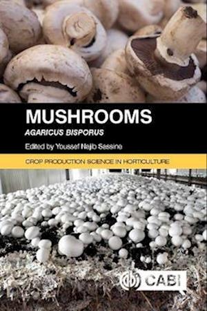 Mushrooms : Agaricus bisporus