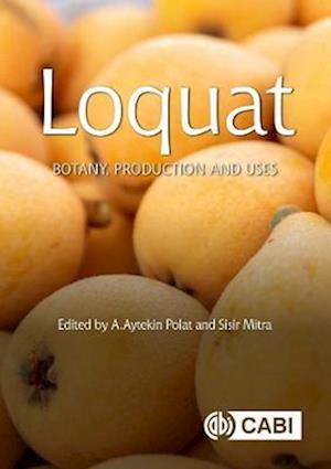 Loquat : Botany, Production and Uses