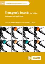 Transgenic Insects : Techniques and Applications
