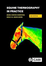 Equine Thermography in Practice