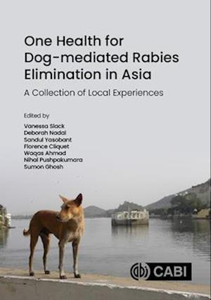 One Health for Dog-Mediated Rabies Elimination in Asia