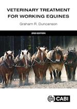 Veterinary Treatment for Working Equines