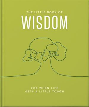 The Little Book of Wisdom : For when life gets a little tough