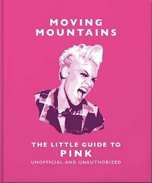 The Little Guide to P!nk