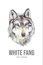 White Fang 