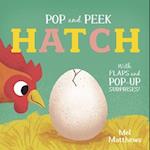 Pop and Peek: Hatch
