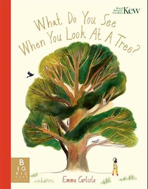 What Do You See When You Look At a Tree?