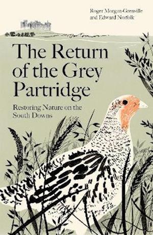 The Return of the Grey Partridge