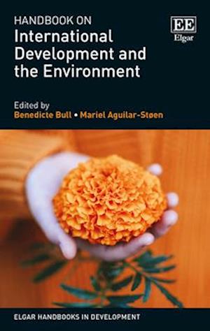 Handbook on International Development and the Environment