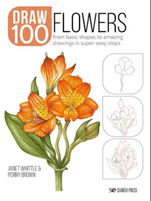 Draw 100: Flowers