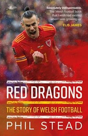 Red Dragons - The Story of Welsh Football