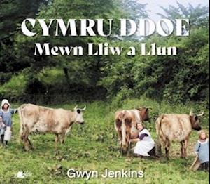 Cymru Ddoe Mewn Lliw a Llun