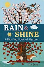 Rain & Shine: A Flip-Flap Book of Weather