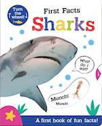 First Facts Sharks