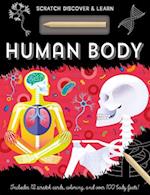 Human Body