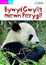 Cyfres Bling: Bywyd Gwyllt Mewn Perygl!