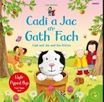 Cadi a Jac a’r Gath Fach / Cadi and Jac and the Kitten