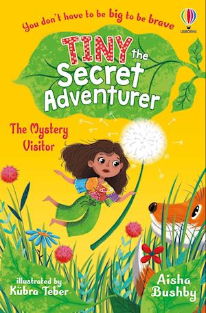 Tiny the Secret Adventurer: The Mystery Visitor