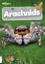 Arachnids