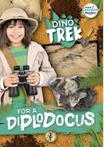 Dino-Trek for a Diplodocus