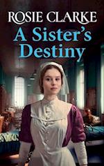 A Sister's Destiny 