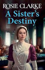 A Sister's Destiny 