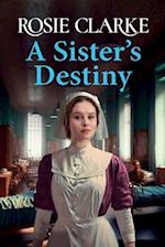 A Sister's Destiny 