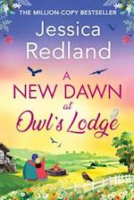 A New Dawn at Owl's Lodge
