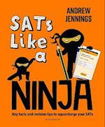 SATs Like a Ninja