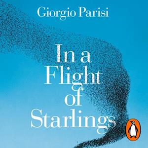 In a Flight of Starlings