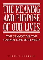 The Meaning and Purpose of Our Lives