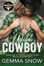 Wild Cowboy 