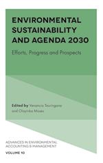 Environmental Sustainability and Agenda 2030