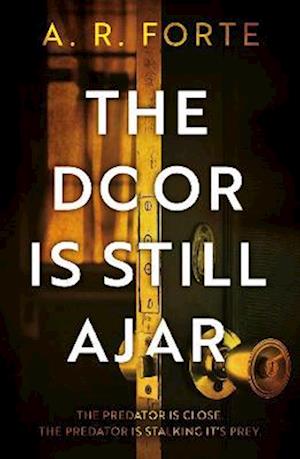 The Door is Still Ajar