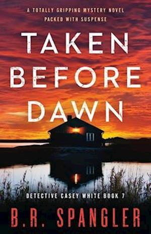 Taken Before Dawn: A totally gripping mystery novel packed with suspense