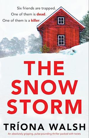 The Snowstorm