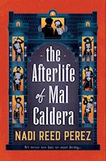 Afterlife of Mal Caldera