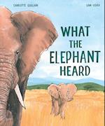 What the Elephant Heard