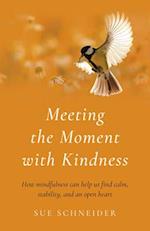 Meeting the Moment with Kindness