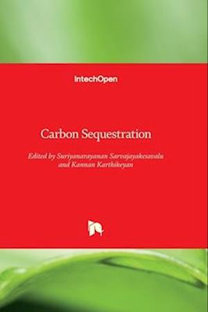 Carbon Sequestration