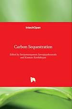 Carbon Sequestration 