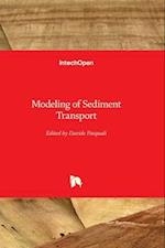 Modeling of Sediment Transport 