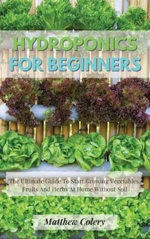 HYDROPONICS FOR BEGINNERS