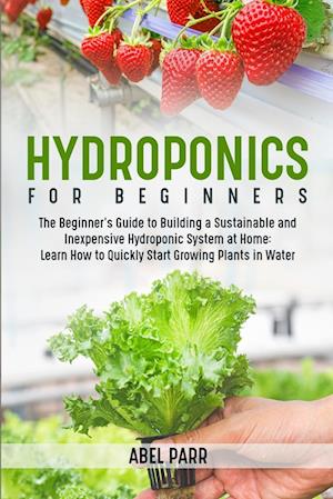 Hydroponics For Beginners