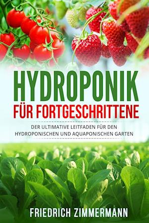 Hydroponik für Fortgeschrittene