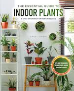 The Essential Guide to Indoor Plants