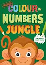 Hidden Colour By Numbers: Jungle