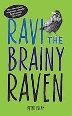 Ravi the Brainy Raven 