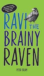 Ravi the Brainy Raven 